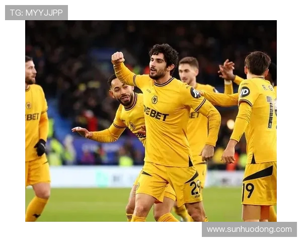 狼队与赫尔城对决分析战术与球员表现的全面解读