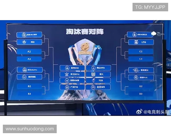 与张丽对话探讨她在王者荣耀中的成长与挑战经历